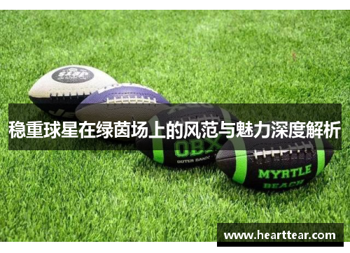 稳重球星在绿茵场上的风范与魅力深度解析